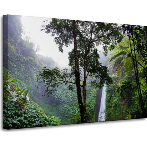 Lienzo impreso Naturaleza Bosque tropical 90x60 cm