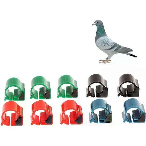 10 étiquettes RFID électroniques pour le suivi des oiseaux (pigeons, poulets, canards) (1/5)
