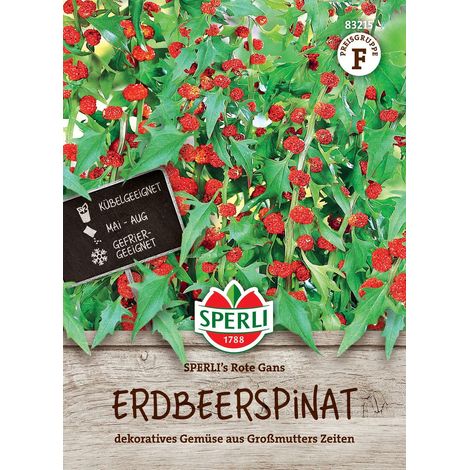 Erdbeerspinat SPERLI's Rote Gans - Gemüsesamen (1/2)