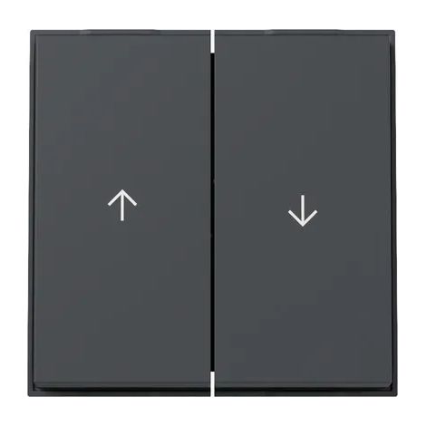 Gira Wippe 2f Pfeil Gira TX44 (WG UP) Anthrazit [329467], 3294 67