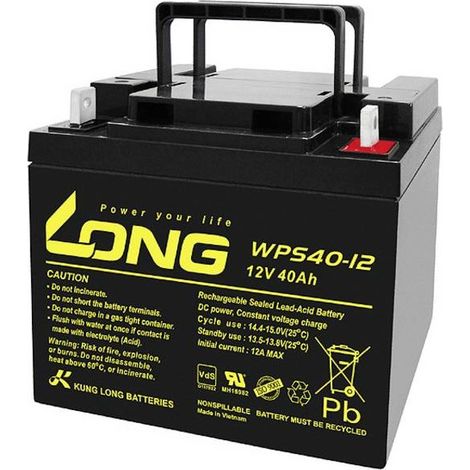 Long WPS40-12 WPS40-12 Batteria al piombo 12 V 40 Ah Piombo-AGM (L x A x P) 199 x 171 x 166 mm Vite M6 certificazione