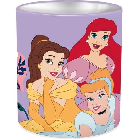 Contenitore per materiale scolastico da principessa