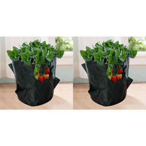 Sacs de Culture pour Fraise, 2PCS 18L/5 Gallons Sac de Legumes, Tissu Non-tissé Sac de Plantation avec Fenêtre, Sac de Legumes de Jardin (23X28CM (4 ports)) (1/5)