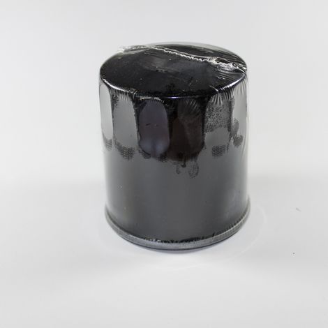 Filtro olio Brigs&ampStratton Vanguard 12,5 - 18 HP per trattorini - 006796