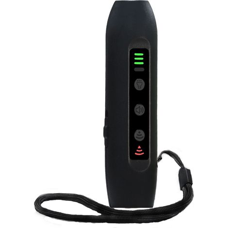 Ultraschall-Hundeabwehrgerät mit 3 Modi, tragbar und wiederaufladbar, mit heller Smart-Taschenlampe und LED-Anzeige. Modell: Schwarz. (1/5)