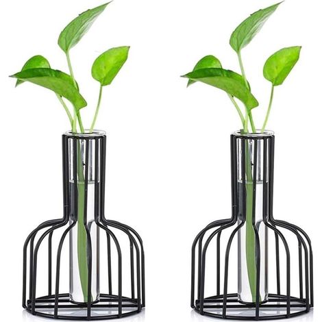 2-teiliges Mini-Vasen-Set, kleine Vasen für Tischdekoration, moderne Knospenvase, Glasvase für Hydrokultur, Reagenzgläser (Schwarz) - Fei Yu (1/5)