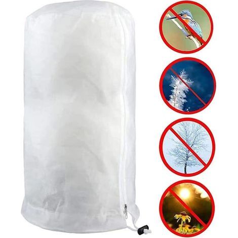 Housse d'hivernage pour plantes – Tissu non tissé respirant – Protection contre le gel – Dimensions 140 x 200 cm (1/5)