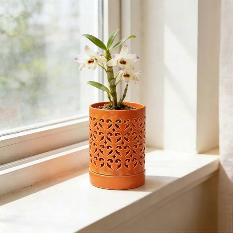 Pots à orchidées en céramique perforés petits pots décoratifs avec soucoupes pour rempotage intérieur extérieur orange-02