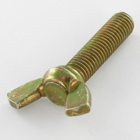 Vis Oreilles M10X40 Forme amEricaine Bichromaté-1 pièce