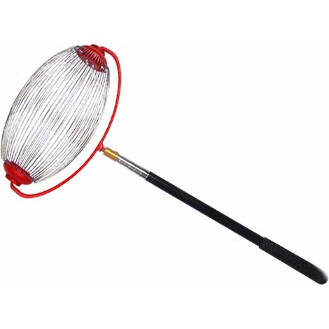 Ramasse-Noix - Rouleau Récolteur Métallique avec Tige Télescopique 4-150 cm - Pour Noix Châtaignes Noisettes Poires Dattes - 1 Pièce (1/5)