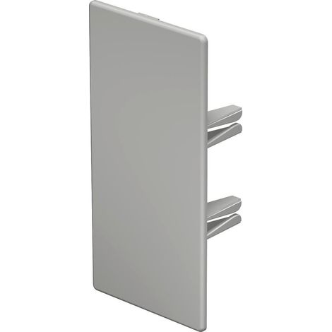 OBO Bettermann Pieza final 60x130mm Cloruro de polivinilo blanco puro RAL 9010, 6193315