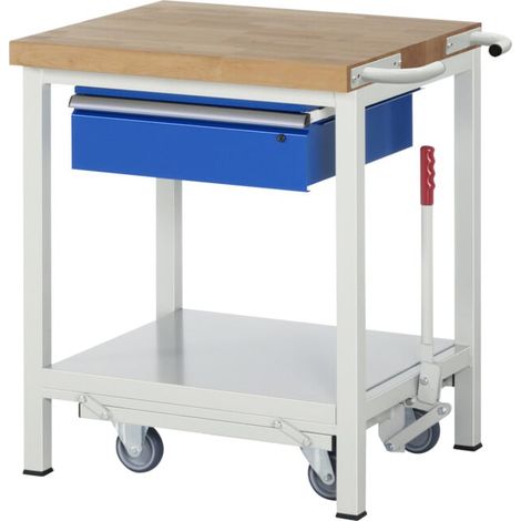 Établi Rau avec châssis abaissable modèle 8001 L 750 x P 700 x H 880mm (1/5)