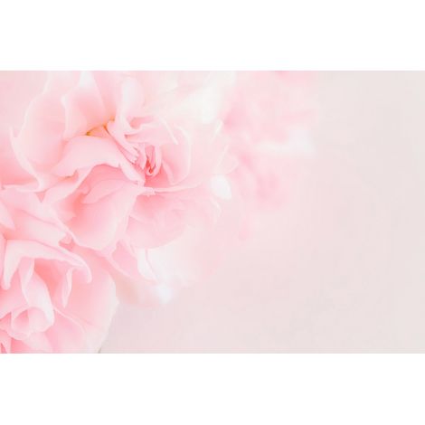 Papier peint panoramique - Fleurs - 130 cm x 87 cm (1/2)