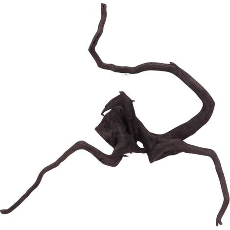 L Black Spider Wurzel  Nr.2636 Fingerwurzel Echtholz Deko Aquascaping