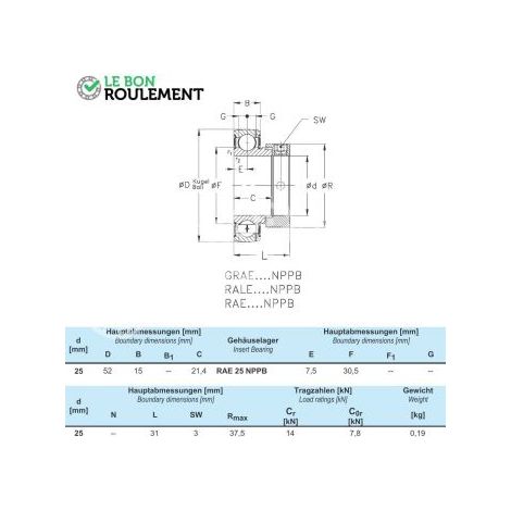 Roulement de palier RAE25-NPP-B-NKE
