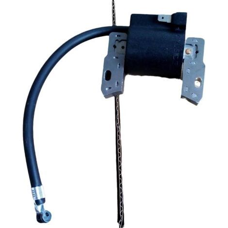 Le transformateur haute tension de la bobine d'allumage est compatible avec les références 398593, 496914, 591420, 793281 et 793295. (1/2)