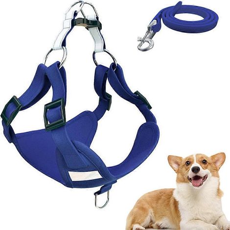Ensemble harnais et laisse pour chien Step In - Harnais gilet pour chien, harnais anti-traction réfléchissant - Taille M (1/5)