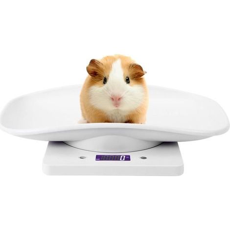 DUO Pèse-bébé 10kg / 1g petite échelle de poids numérique pour animaux de compagnie pour chats chiens outil de mesure balan En Stock (1/4)