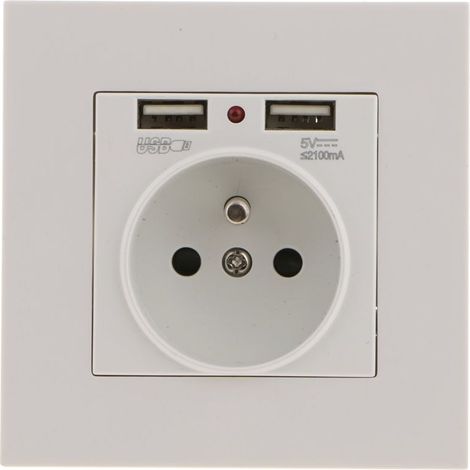 Prise Murale, Prise Electrique Murale avec Double USB 5V/2100mA, Prise Encastrable avec 2 Ports de USB Pratique et Manialble (1/5)