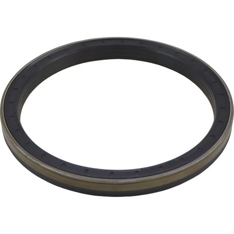 Anello di tenuta, paraolio, NBR, 165x195x16, 3429790M2, trasmissione finale anteriore, MF (1/3)