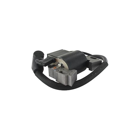 Bobina di accensione adattabile per GGP / modelli Mountfield Sv150, Rv150, M150, V35, V40. Sostituisce l'originale 118550126/0.