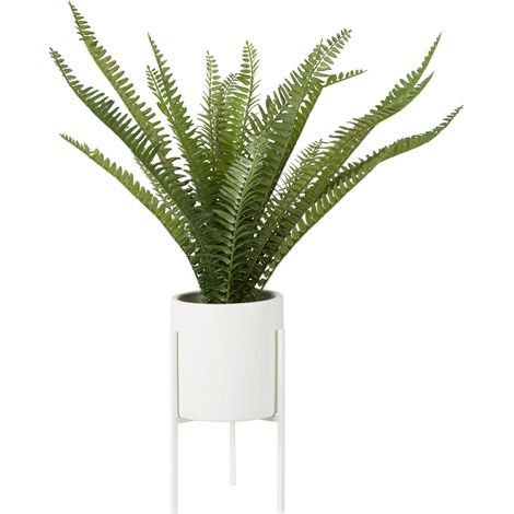 Premier Housewares Fiori Fern with White Cement and Iron Pot (1/5)