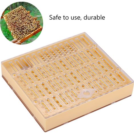 Kit Élevage Reine Cupulaire Ruche Cellule Cupule Système Apiculture Lot Outil Apiculteur (1/5)