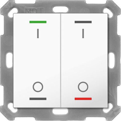 Taster Light 55 2-fach, RGBW, mit Temperatursensor, Reinweiß glänzend, Schalten