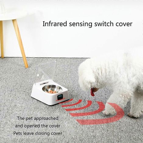 Gamelles pour chatons et chiots avec capteur intelligent pour nourriture et eau (1/4)
