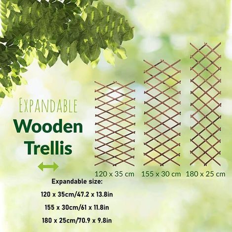 Treillis extensible en pin pour plantes grimpantes – Dimensions ajustables 120 x 35cm. 155 x 30cm. 180 x 25cm – Support robuste pour vignes et fleurs (1/5)