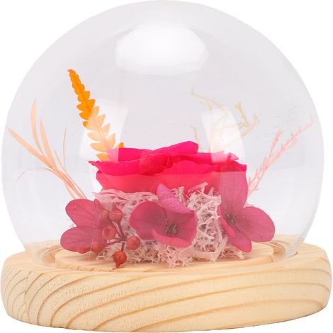 Rose préservée sous dôme de verre anti-poussière cadeau floral élégant pour Noël, anniversaires rouge (1/5)