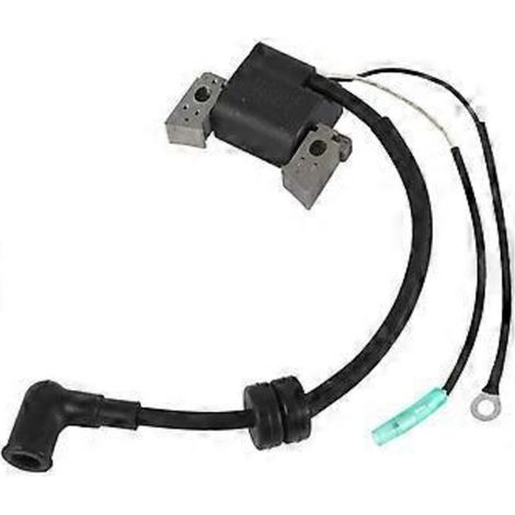 Bobine d'allumage pour moteur de bateau F4L F4S, bobine pour moteur F6 4 temps 6 CV
