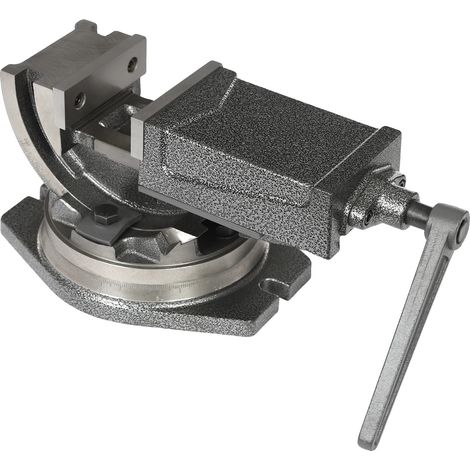 Étau, inclinaison de 0 à 90°, base rotative à 360°, Gris (1/2)