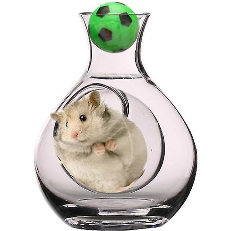 Contenant de rangement en verre pour animaux de compagnie (1/3)