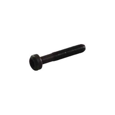 Tornillo de biela BRIGGS ET STRATTON 791118