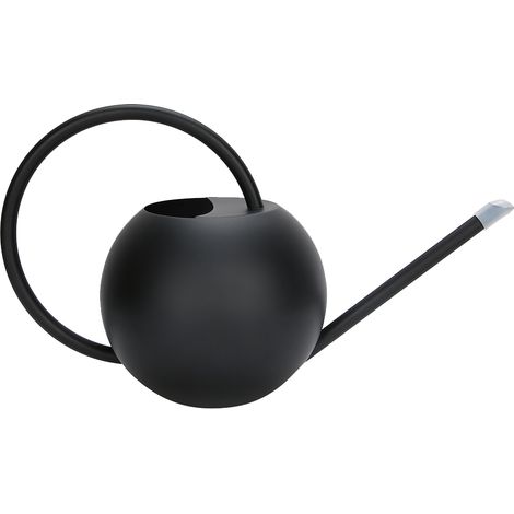 Arrosoir Long Bec 1L en Acier Inoxydable pour Plantes d'Intérieur (1/5)