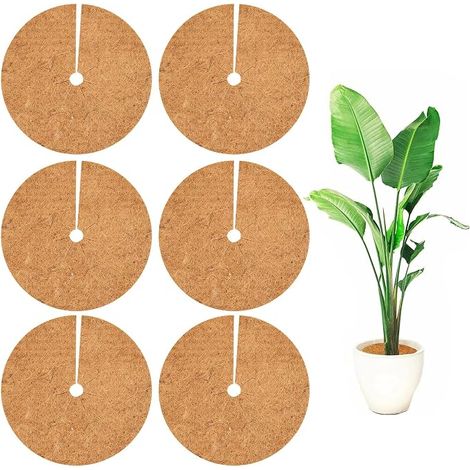 Disque de Fibre de Coco pour Plante, Toile de Paillage Jardin Tapis de Coco Plantes Protège Les Racines des Plantes Disques Paillage Hivernage Protection pour Plantes en Pot 20cm 6pcs (1/5)