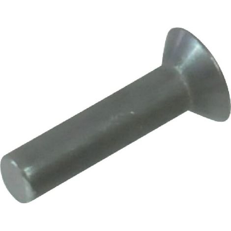 Rivet KUHN 80350625