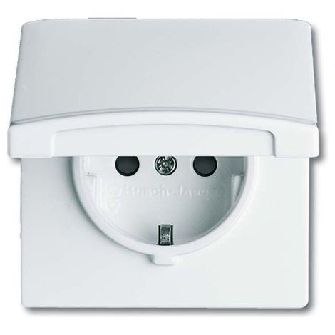 BUSCH-JAEGER 20EUGKB-34-101 STECKD. AW44 EBS KD 2064-0-0294