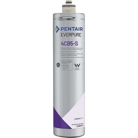 Everpure 4CB5-S Waterfilter EV9617-26 / EV9617-21 (1/5)