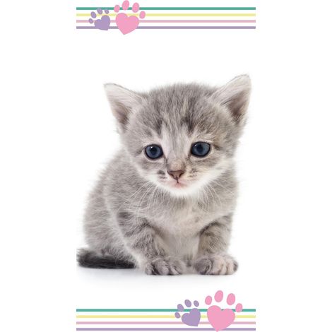 Serviette de plage 70x140 Chat minou gris couleur Chaton 8834