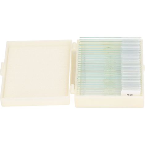 25 lames de microscope en verre optique transparent, lot de 25 pour spécimens d'algues, cellules et tissus, set d'échantillonnage (1/5)