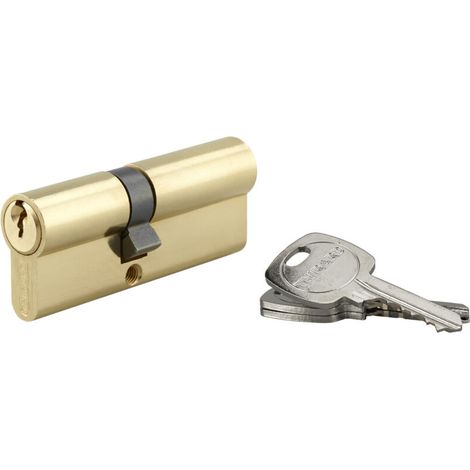 Cylindre de serrure double entrée STD, 30x65mm, anti-arrachement, laiton, 3 clés -