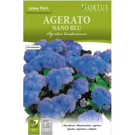 Agerato Nano Blu DB
