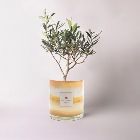 Olivier en pot de verre décoré à la main Fabriqué en Italie Marbre H 15 - Orange
