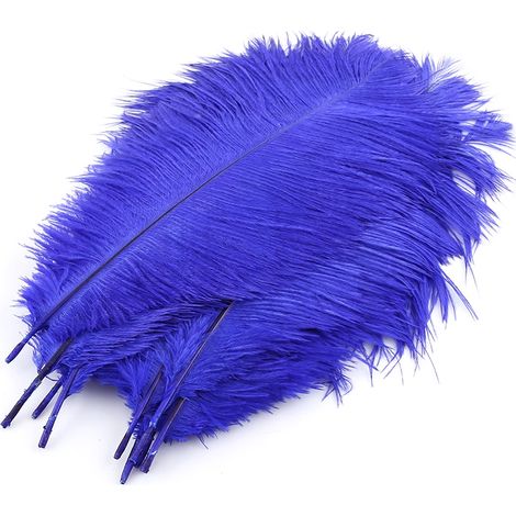 Plumes D Autruche Naturelles - 25-30 Cm - Bleues - Pour Décoration Mariage Et Événements - Lot De 10 Pièces (1/2)