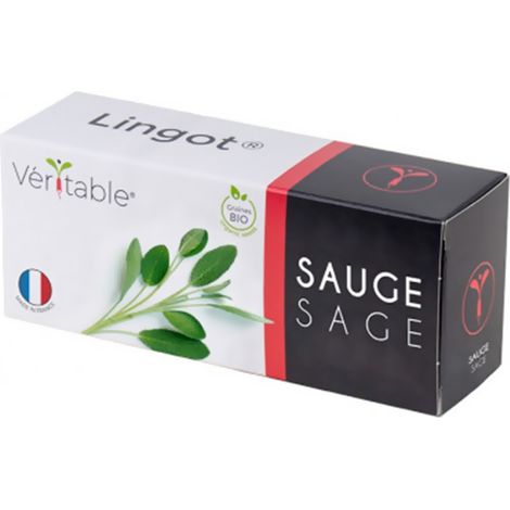 Graines en recharge prête à l'emploi - Lingot Sauge Bio - Véritable (1/3)