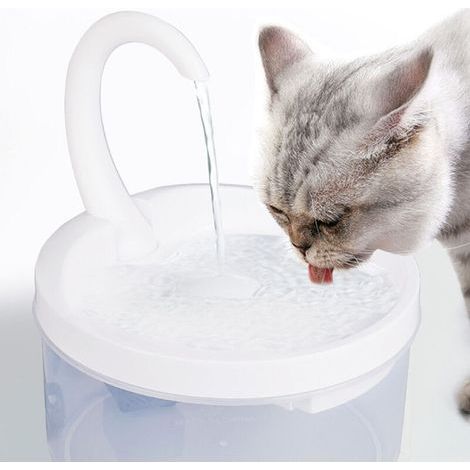 fontaine pour chat fontaine pour chat pour chat avec fenêtre de démarrage de l'eau fontaine à boire pour filtre pour chat-- (1/4)