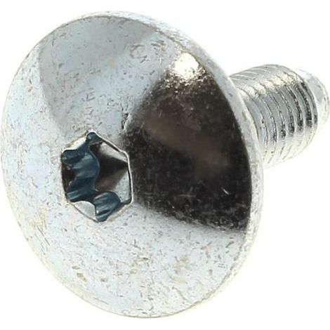 Vis Torx Pièces De Rechange Pour Lave-Linge M8 × 23 Mm En Acier Compatible Appareils Domestiques Origine France Lot De 10 (1/3)