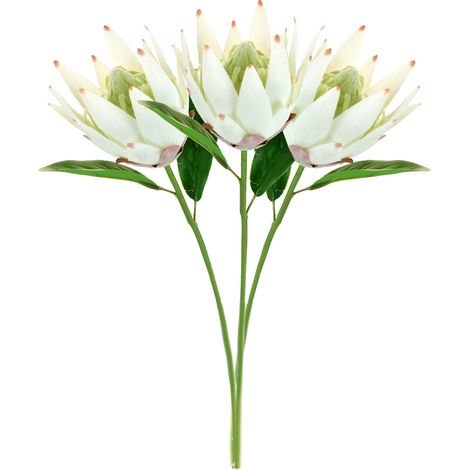 Flores artificiales de protea real blanca y aterciopelada – 3 unidades – ramos de novia, decoración de bodas y arreglos florales (1/5)